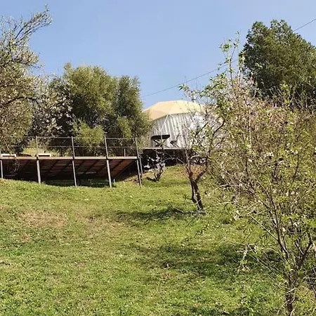 Glamping Geodesic Dome In Secluded Eco Retreat